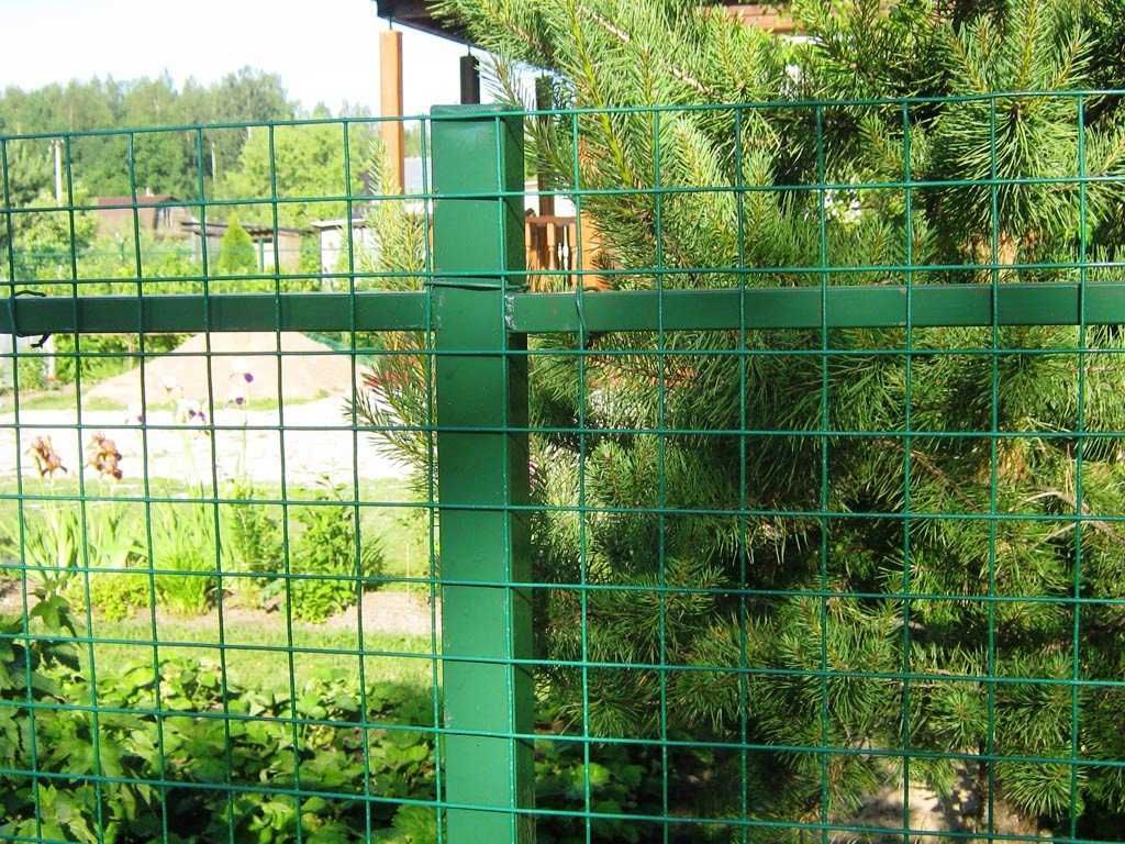 Забор для дачи из сварной 2d сетки пвх