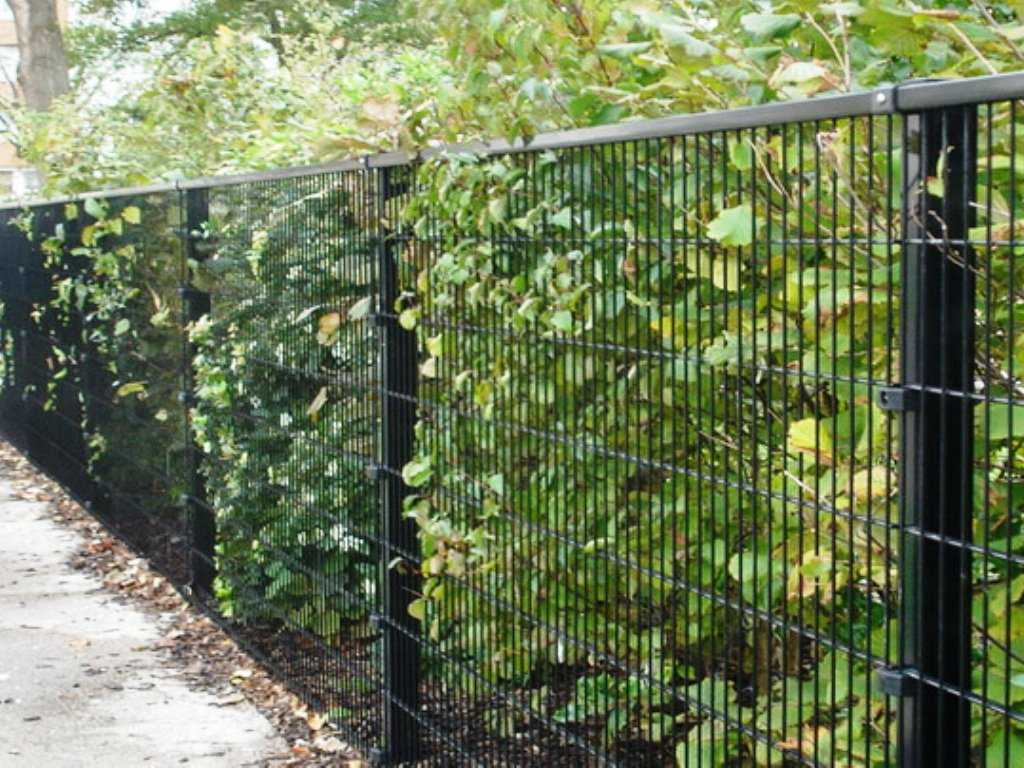 Забор из сварной 2d сетки с пвх покрытием