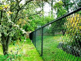 Забор из сетки-рабицы. Фото